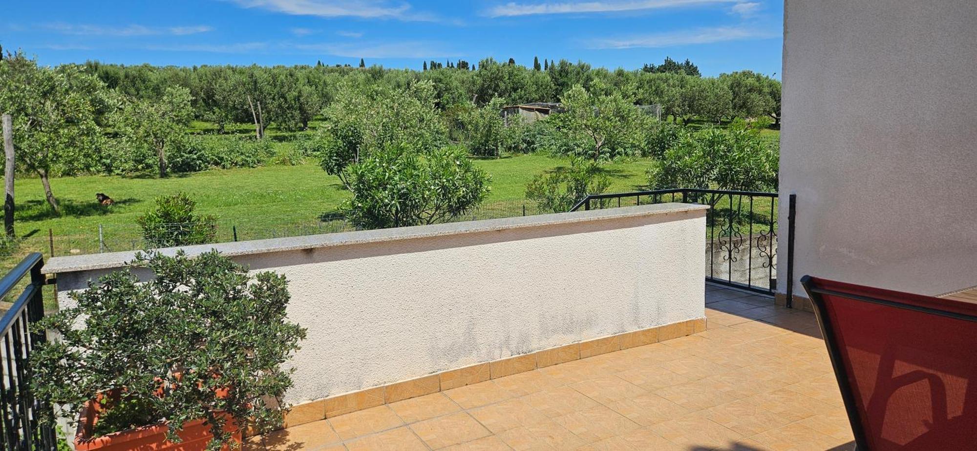 Sea View Apartment Renzzo 斯楚雅 外观 照片